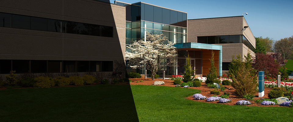 Braselton Landscapers