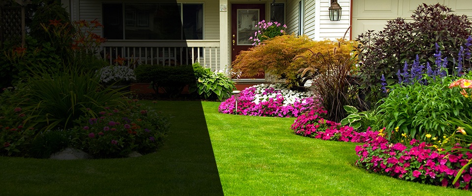 Braselton Landscapers