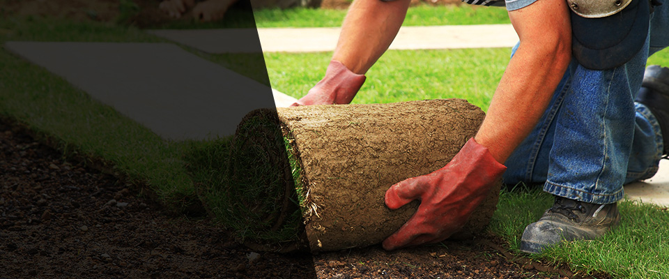 Braselton Landscapers